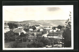 Foto-AK Neu-Reichenau / Nový Rychnov, Ansicht Der Ortschaft  - Tchéquie