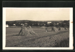 AK Ruda U Vel. Mezirici, Blick über Gemähte Felder Auf Den Ort  - Czech Republic
