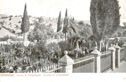 73913583 Gethsemane Gethsemani Israel Jardin De Gethsemane - Israel