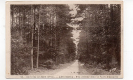 61 - Environs De SEES - Les Choux - Une Avanue Dans La Forêt D'Ecouves (L75) - Sees