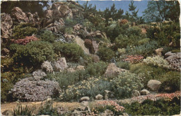 Erzabtei St. Ottilien, Alpinum Im Seminargarten - Landsberg