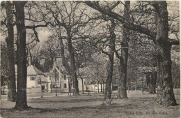 Wallfahrtskapelle Maria Eich Bei Planegg, Die Alten Eichen - Muenchen