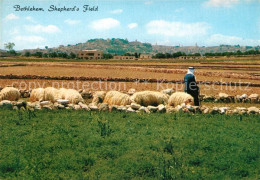 73070140 Bethlehem Yerushalayim Shepherd S Field Bethlehem Yerushalayim - Israele