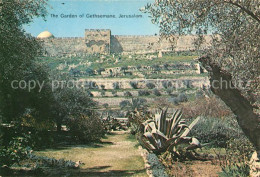 73070126 Jerusalem Yerushalayim Garden Of Gethsemane Jerusalem Yerushalayim - Israele