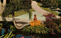 73061595 Winter_Haven Cypress Gardens Photographic Model - Autres & Non Classés