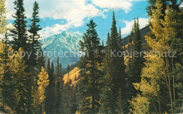 73061588 Denver Colorado Torreys Peak Denver Colorado - Andere & Zonder Classificatie