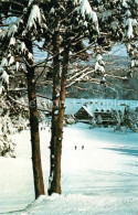 73061583 Clymer_New_York Peekn Peak Ski Center - Autres & Non Classés