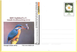 Germany 2009, Bird, Birds, Postal Stationary, Pre-Stamped Post Card, Kingfisher, MNH** - Autres & Non Classés