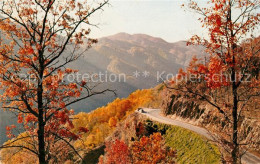 73061563 South_Gate Newfound Gap Smoky Mountains - Andere & Zonder Classificatie