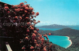 73061546 St Thomas Virgin Islands Magens Bay St Thomas Virgin Islands - Andere & Zonder Classificatie