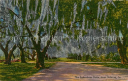73061521 New_Orleans_Louisiana The Pakenham Oaks - Autres & Non Classés