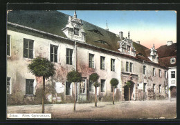 AK Zittau, Altes Gymnasium Im Sonnenschein  - Zittau