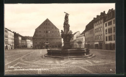 AK Zittau I/Sa, Neustadt Mit Herkulesbrunnen  - Zittau