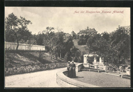 AK Essen / Ruhr, Kruppsche Kolonie Altenhof Im Sommer  - Essen