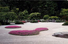 73061448 Portland_Oregon Flat Garden With Dianthus Tiny Rubies - Autres & Non Classés