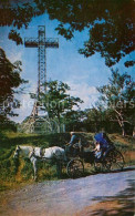 73057237 Montreal Quebec Cross On Top Mount Royal And Horse Drawn Caleche Montre - Unclassified