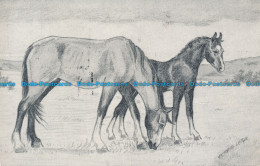 R048595 Old Postcard. Horses By Victoria Leigh. Thunder And Clayden. Sunray. 197 - World