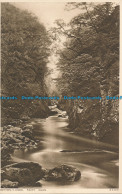 R049130 Bettws Y Coed. Fairy Glen. Photochrom. No 3409 - World