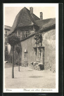 AK Zittau, Mauer Am Alten Gymnasium  - Zittau