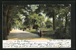 AK Zittau, Stadtpark Am Marschnerdenkmal  - Zittau