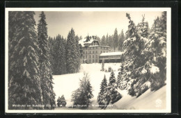 AK Todtnau, Waldhotel Am Notschrei Im Schnee  - Todtnau