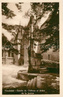 13301966 Neuchatel NE Entrée Du Chateau Et Arbre De La Justice Neuchatel NE - Autres & Non Classés