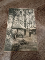 LE NOUVION DOMAINE DE GUISE-FONTAINE CAROLINE En L'État Sur Les Photos - Autres & Non Classés