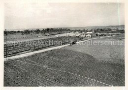 13211286 Taegerwilen Gemuesebau AG Taegerwilen - Andere & Zonder Classificatie