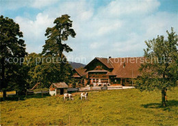 13210206 Menziken Wirtshus Trolerhof Kuehe Menziken - Other & Unclassified