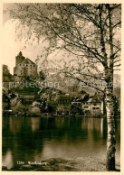 13114826 Werdenberg Blick Ueber Den Rhein Zum Schloss Werdenberg - Autres & Non Classés