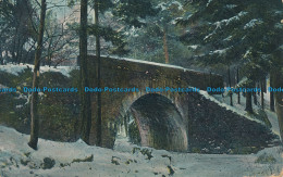 R049367 Old Postcard. Winter Scene. Bridge In The Woods. 1905 - Monde