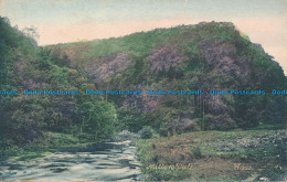 R049652 Millers Dale. 1905 - World