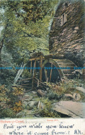 R049454 Bettws Y Coed. Pandy Mill. Peacock. Autochrom. 1904 - World