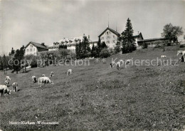 12975036 Weissenstein SO Hotel Kurhaus Viehweide Kuehe Weissenstein B. Solothurn - Sonstige & Ohne Zuordnung