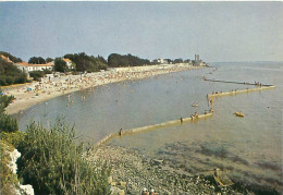 Fouras - La Grande Plage     Y 241 - Fouras-les-Bains