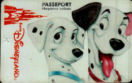 PASSEPORT DISNEY...MOYENNE SAISON - Toegangsticket Disney