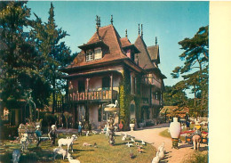 Mesnil De Bavent - Vases Et Animaux Pour Interieurs     Y 244 - Other & Unclassified