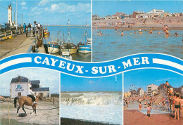 Cayeux Sur Mer - Port Du Hourdel    Y 244 - Cayeux Sur Mer
