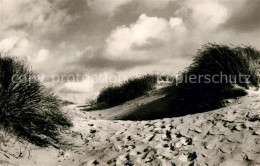 73140939 Insel Sylt Verwehte Duenen Natur Insel Sylt - Andere & Zonder Classificatie