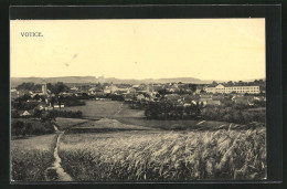 AK Votice, Panoramablick Vom Feld Zum Ort  - Tchéquie