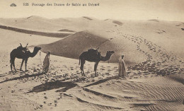 DZA00 01 12#0 - ALGERIE - PASSAGE DES DUNES DE SABLE AU DESERT - Scènes & Types