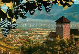 73127362 Meran Merano Castel Tirolo Schloss Tirol Blick Ins Tal Weintrauben Mera - Autres & Non Classés