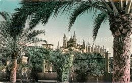 73126663 Mallorca Cathedrale Paseo De Sagrera Mallorca - Andere & Zonder Classificatie