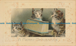 R050502 Greetings. A Merry Christmas. Kittens - World