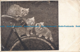 R050504 Old Postcard. Kittens On The Bike. Herriot. 1907 - World