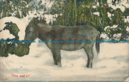 R050516 You And I. Donkey In The Snow. Frith. 1909 - World