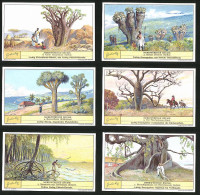 6 Sammelbilder Liebig, Serie Nr.: 690, Merkwürdige Bäume, Riesenfeigenbaum, Mangroven, Flaschenbaum, Afrika, Indien  - Liebig