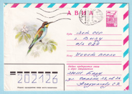 USSR 1980.0219. European Bee-eater (Merops Apiaster). Prestamped Cover, Used - 1980-91