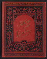 Leporello-Album 24 Lithographie-Ansichten Lahn, Bad Ems, Malbergbahn, Nassau, Kloster Arnstein, Diez, Limburg, Wetzlar  - Lithographies