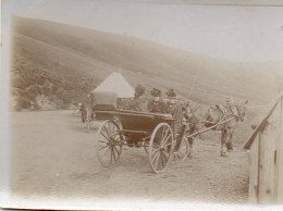 Photographie Photo Vintage Snapshot Attelage Charrette Carriole Cheval - Treni